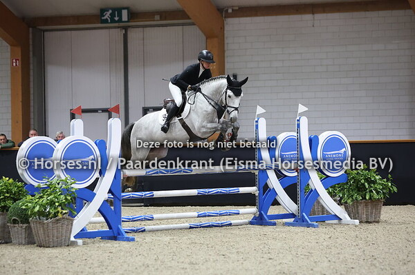 17 Rebel Blue (v. Zirocco Blue VDL) Suzanne Tepper (1)