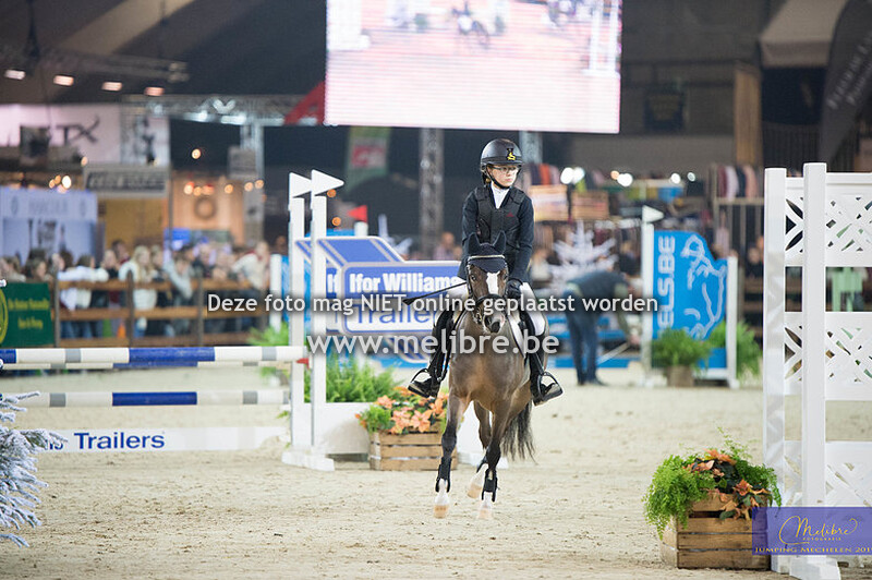 Belgische rijpony klein - Parcours laag