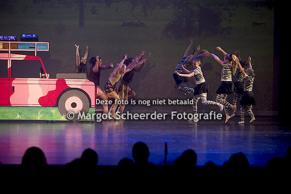 19. Zebra's en tijgers