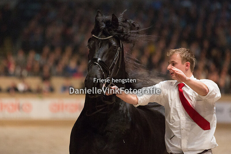 Hengstenkeuring 2018 Erryt 488