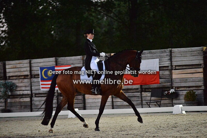 SUNDAY - CDI 3 Grand Prix Special