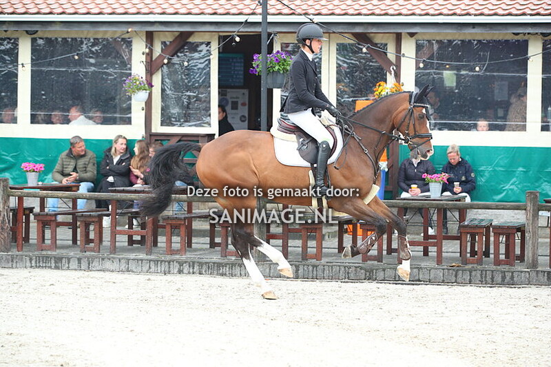 Jumping Tolboom 29-05-2025 Springen Paarden 100 cm