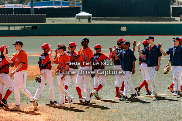 20250206 AW vs NL DIBAT