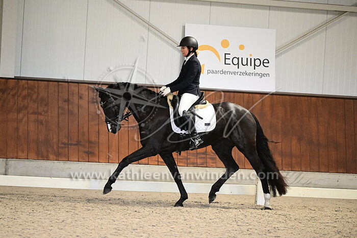 Miranda van Beeck - Elsa