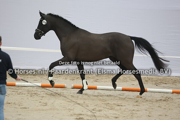 316 (Desperado x Sandro Hit)