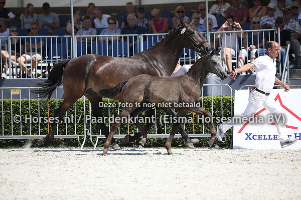 33 Oniki Gun (Up To Date x Iris v. Sam R) (1) - kopie