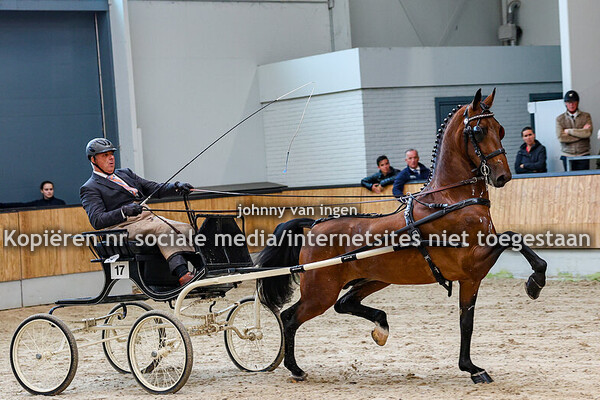 1ste keer voorrijden hengsten 2025