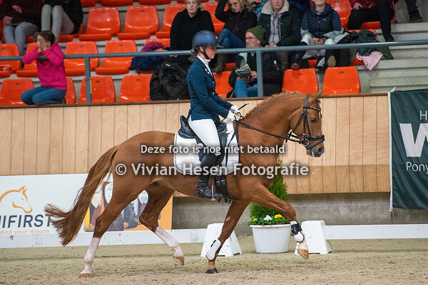 Huldigingen en rijrubrieken