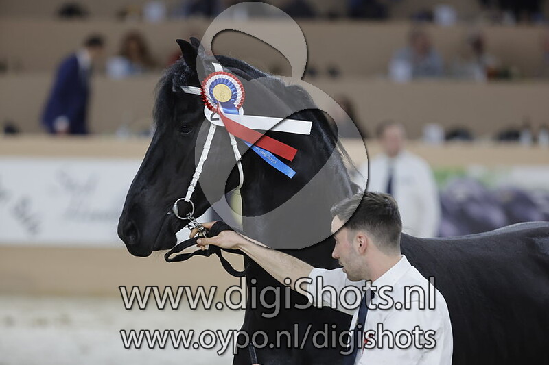 Nick fan Meulunteren v. Tymen 503 230