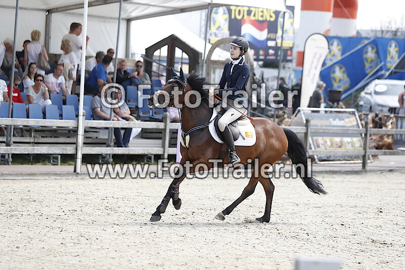 Lotte van der Wielen