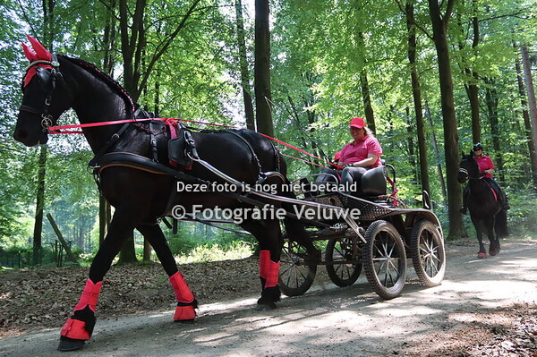 Eper paardenvierdaagse dag 4 (paarden4daagse)
