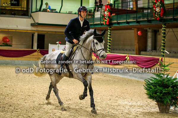 NY Jumping Warredal Finals 6y Horses 08-01-22