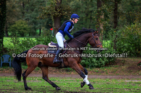 Eventing Barchem paard Z 25-10-25