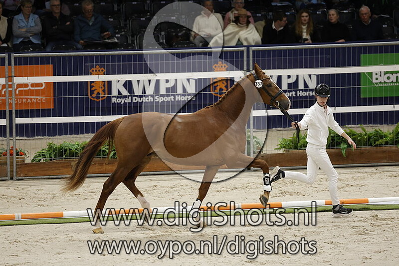 Richmond Tc v. Dynamic Dream - 337