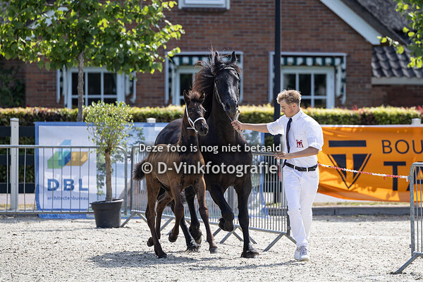 24. Douwe Ide van Wiko