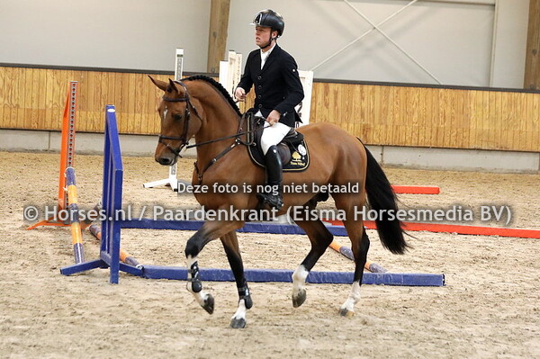 17 Drummer TN (Diamant de Semilly x Chin Chin)