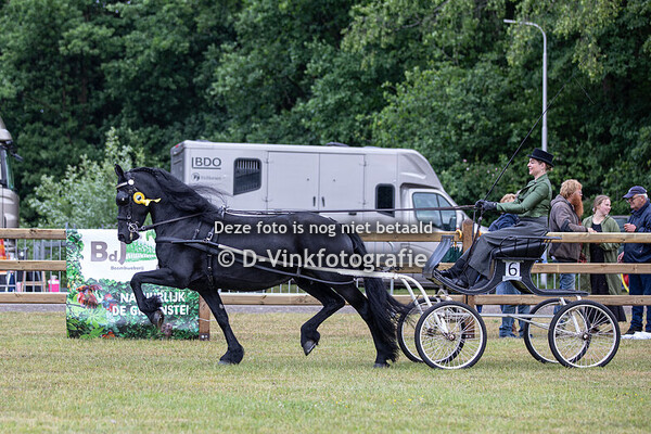 08. Eenspannen Tuigpaarden Fries Ras limietklasse