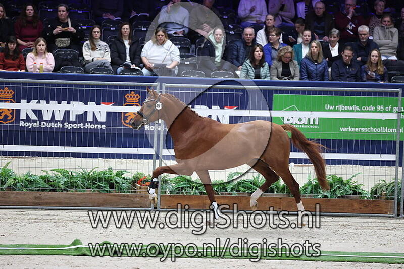 Sir AKW v. My Blue Hors Santiano