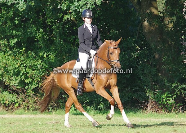 CH Koekange 03.09.2017