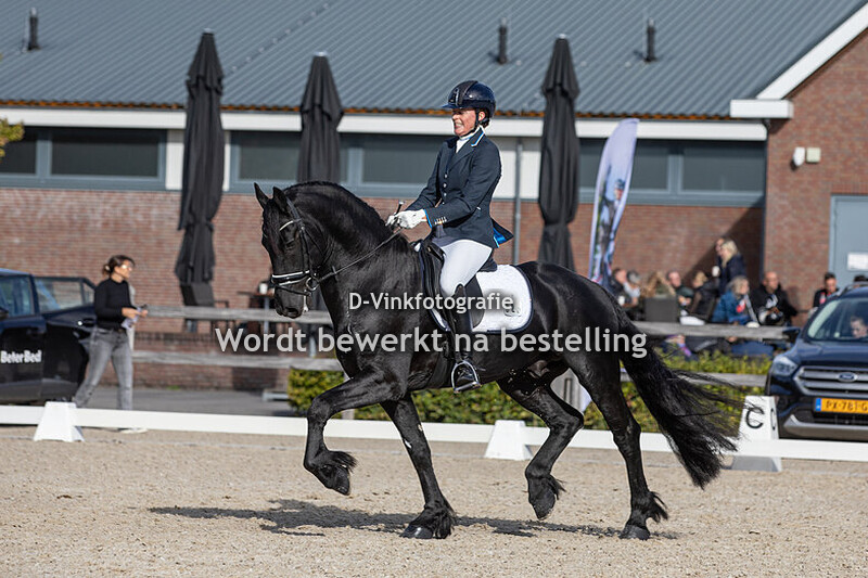 Sietske Hylkema - Thys fan 't Suderein