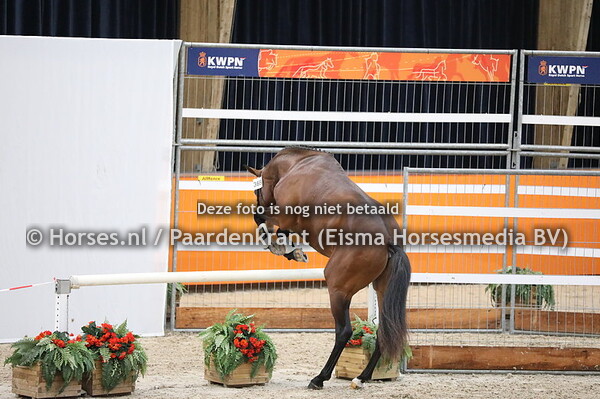 369 Expression x Uphill