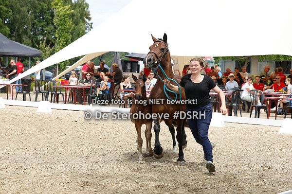 11. BRP VEULENS GROTE MAAT - VROUWELIJK