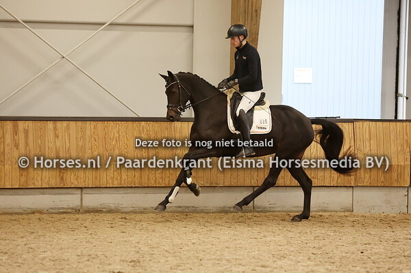 36 Silhouette (Livius x Gipsy v. Ampere)