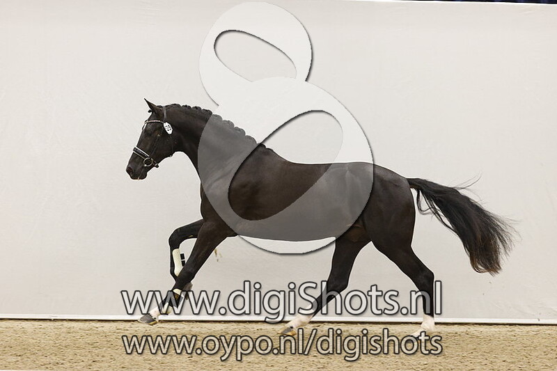 Number Two v. Just Wimphof