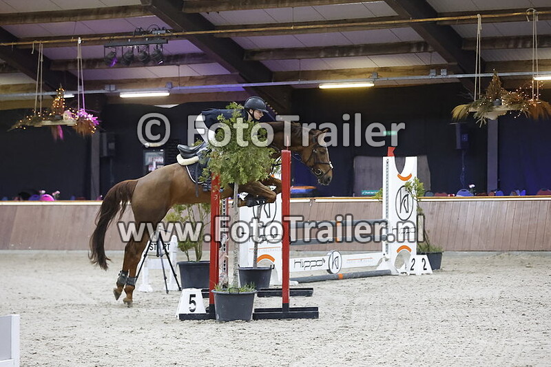 gwendoline wisselink