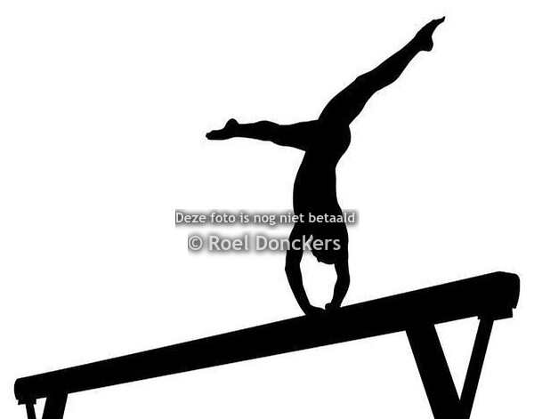 Toestelturnen (TTm, TTj)