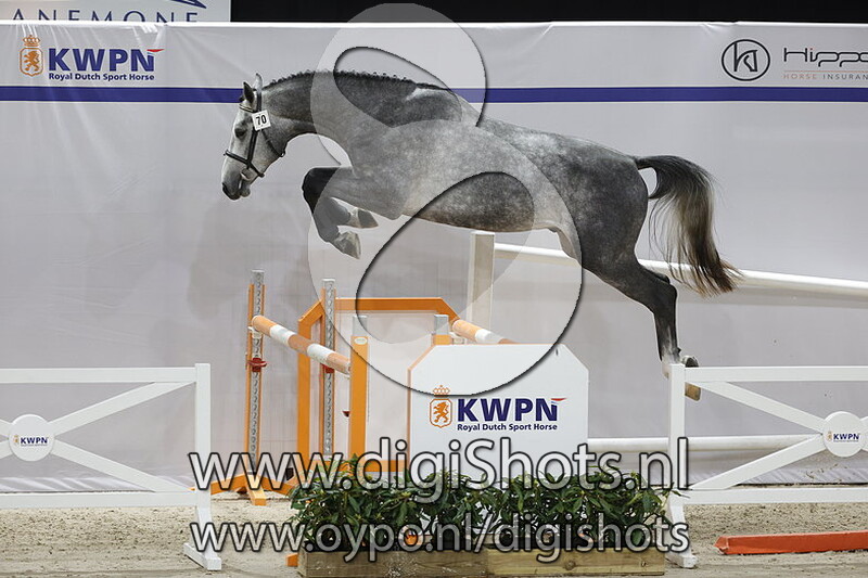 Diacasan VL Z v. Diacontinus