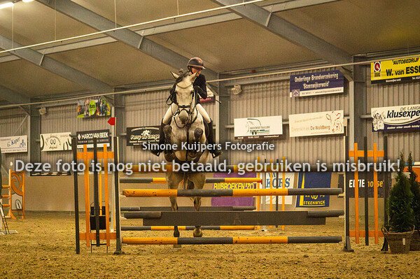 Paarden download afdruk/zonder logo