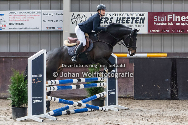 Paardensport springen