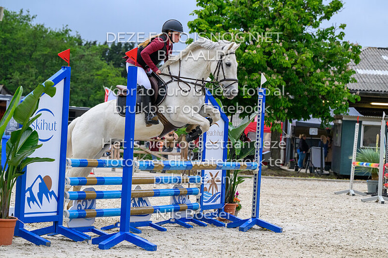 6 Klassiek pony's 0.90 cm cat. CDE MB-ZB