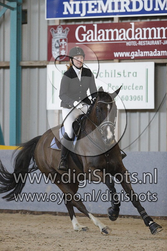 Delfsma Stables Haindia