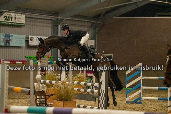 Paarden download met logo