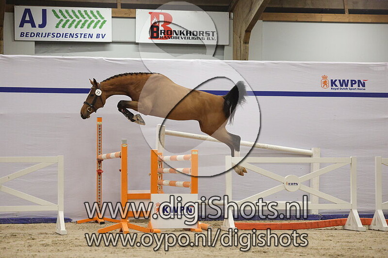 Emerald's Touch RV Z