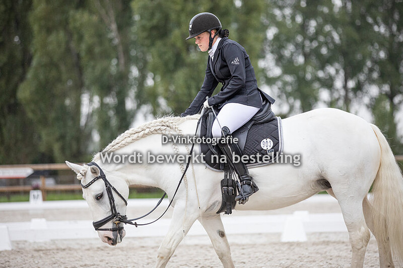 Tanja van der Linden - Dolly Parton