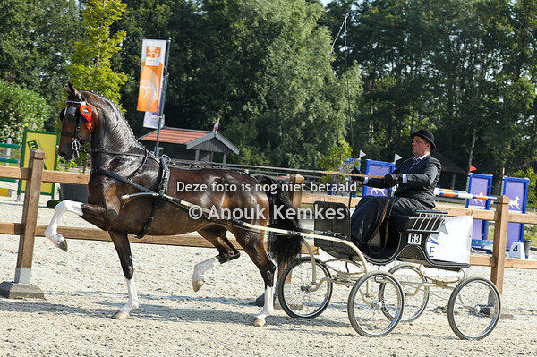 Pylie ( Icellie x Unieko ) Alternatieve Ibop = GESLAAGD 