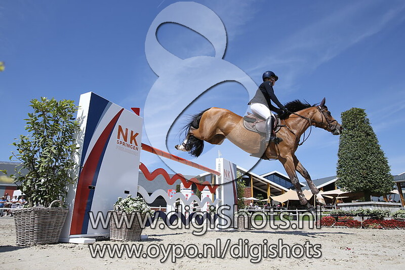 Bml Florida balia nl