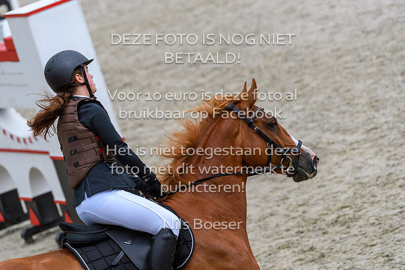 1 Ponys Klasse 70-80cm