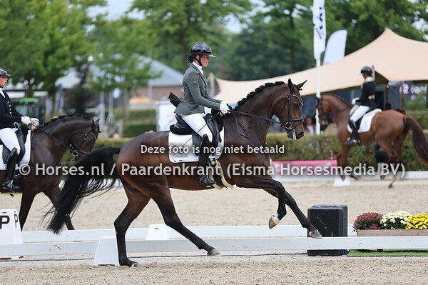 Royal Highness D'Obertje