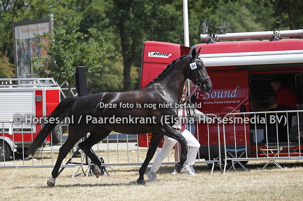 54 Jamila v Chippendale