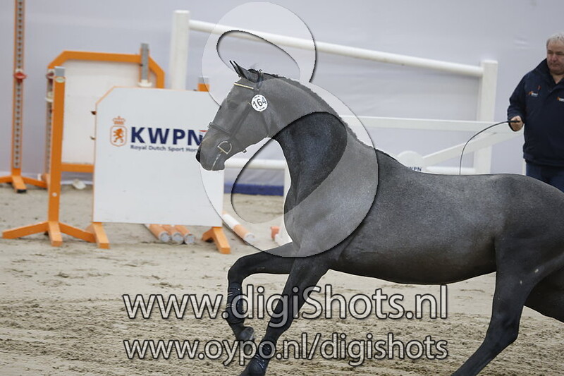 Carrico Vd Dassenheide v. Caribis Z - 164