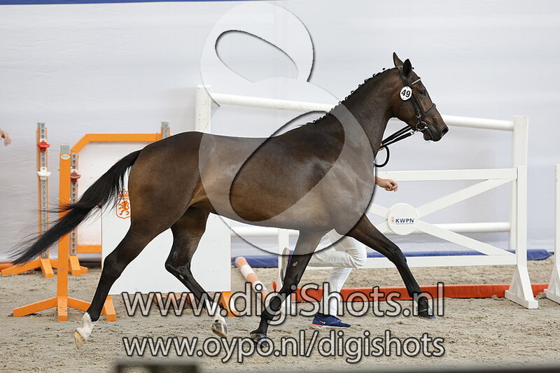 Peadonna vd Watermolen v. Connect