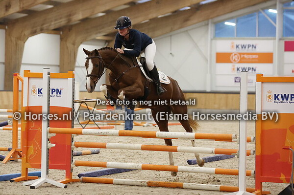 8 Showminka GP (v. Mr Cornet de Regor x Dominka v. Warrant)