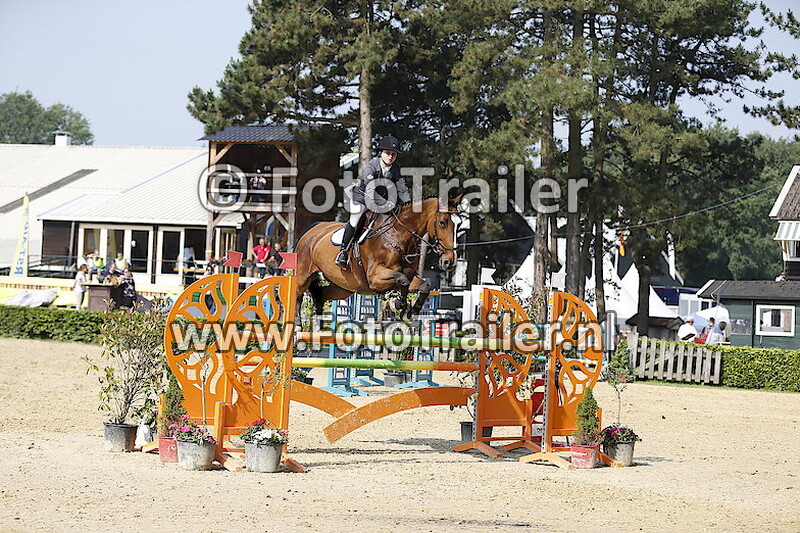 Alexandra Bernardino