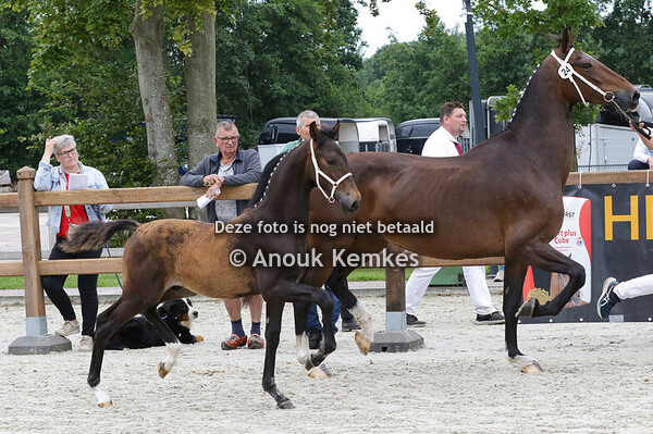 024 - UNION GSM NEON GSM X HERES GSM J.T. SEINEN, PUNTHORST