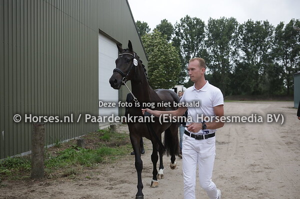 172 (Totilas x Valuta v. Unifom)