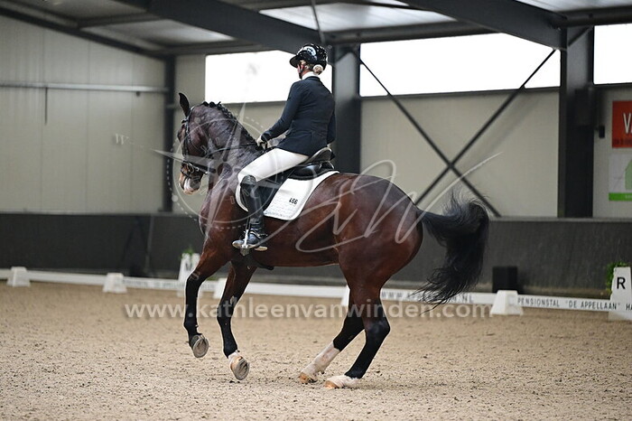 Hellen Rotteveel - Da Vinci van Hallinckveld